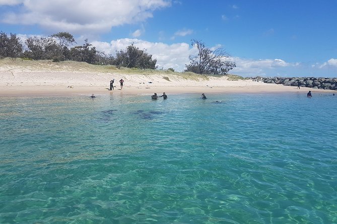 Gold Coast Try-Scuba Experience at Wave Break Island - Tour Highlights