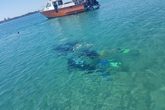 Gold Coast Try-Scuba Experience at Wave Break Island - Cancellation Policy and Refunds