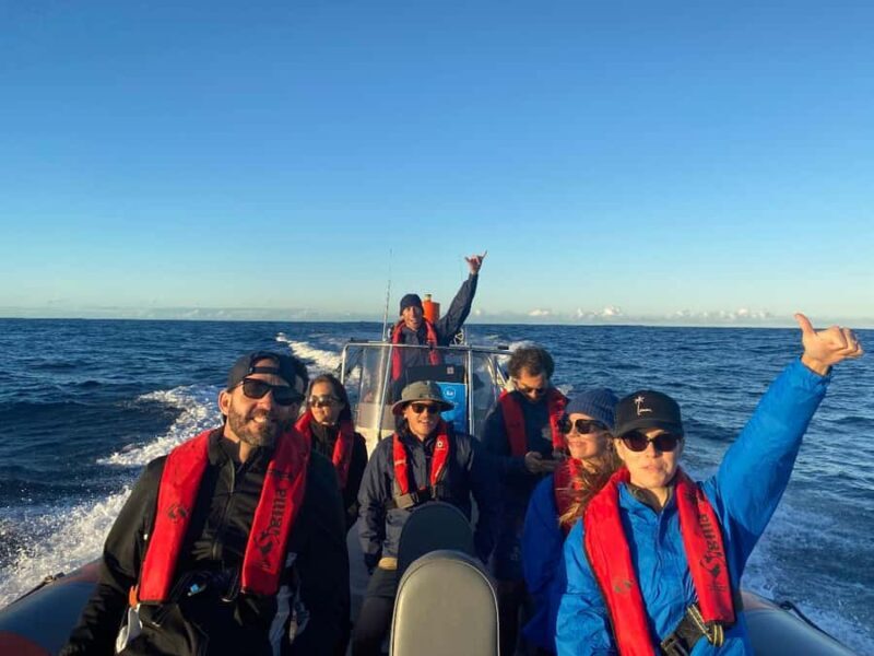 Gold Coast: Whale Watching - Practical Details and Tips