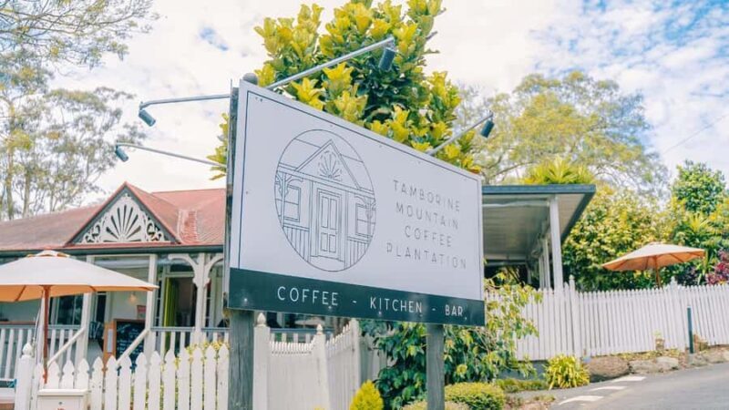 Gold Coast: Wine, Distillery & Rainforest Day Tour - The Experience Breakdown