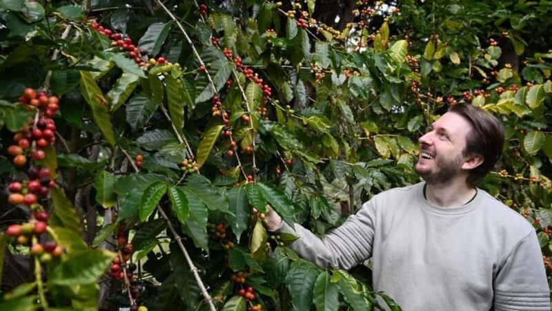 Gold Coast: Wine, Distillery & Rainforest Day Tour - Practical Considerations & Value