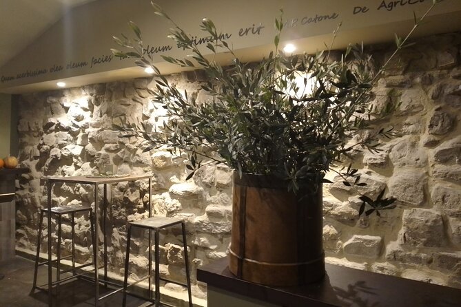 Gold Tasting in the Oil Mill in Umbria - Location and Meeting Point