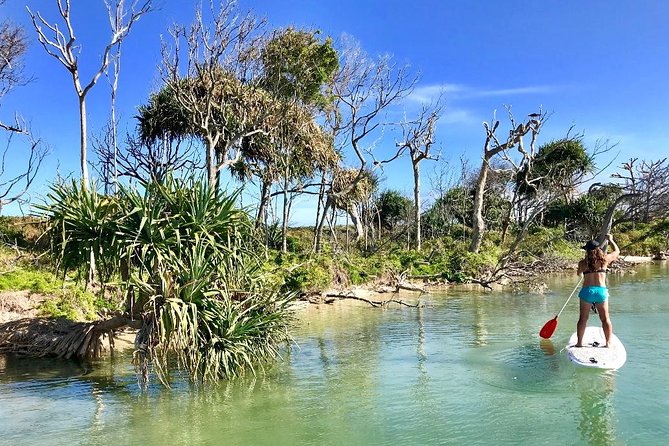 Golden Beach 1-Hour Stand-Up Paddleboard Hire on the Sunshine Coast - Safety Guidelines and Tips