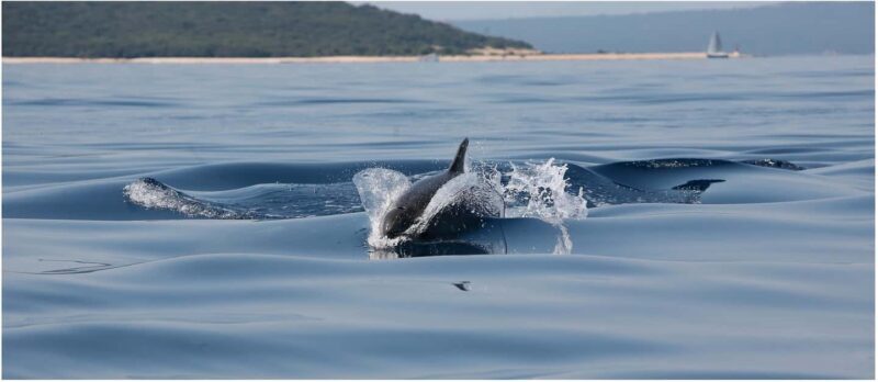 Golden Beach & Blue Cave Exclusive Private Boat Tour - Final Thoughts