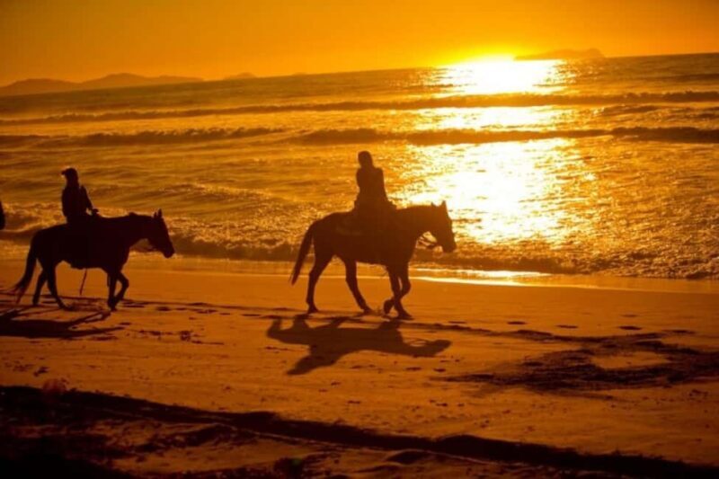Golden Beach Sunrise: Horse Riding - A Detailed Look at the Golden Beach Sunrise Horse Riding Tour