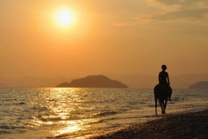 Golden Beach Sunrise: Horse Riding - Authentic Insights from Reviews