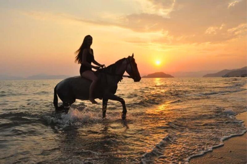 Golden Beach Sunrise: Horse Riding - Why This Tour Could Be Your Perfect Morning Escape