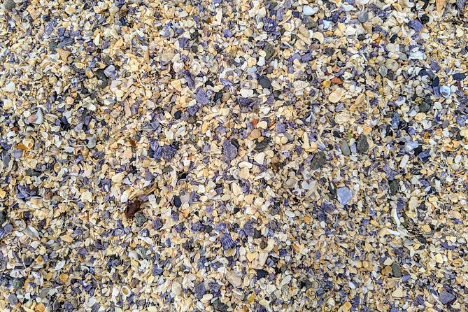 Golden Beaches and Ocean Vistas MANLY AND NORTHERN BEACHES PRIVATE TOUR - Local Culture and Attractions