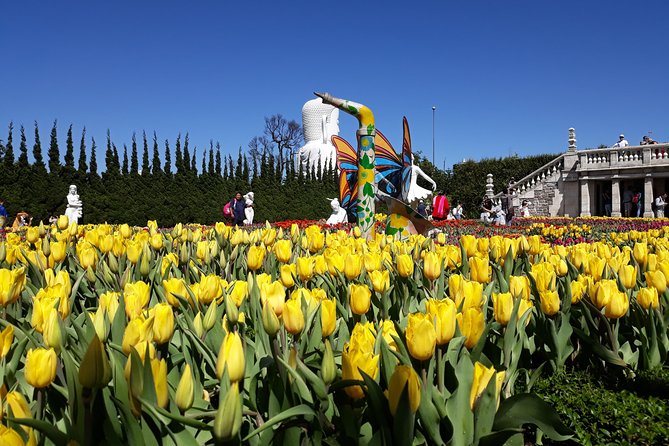 Golden Bridge And Ba Na Hills Full Day Trip From Hoi An Or Da Nang - Pick up and Drop off Locations