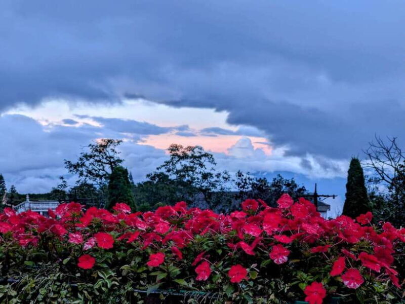 Golden Bridge - Ba Na Hills Full Day From Hoi An or Da Nang - FAQs