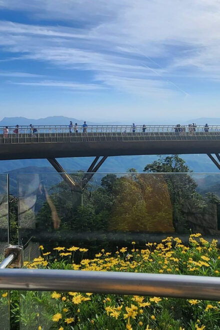 Golden Bridge-Dragon Bridge -Marble Mountain-Monkey Mountain - Dragon Bridge Insights