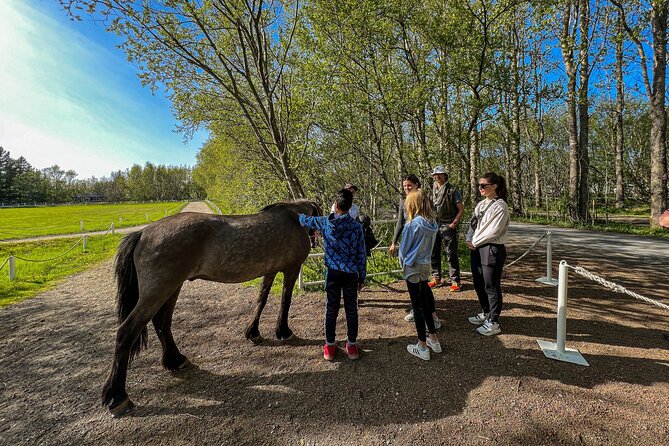 Golden Circle and Lunch at Fridheimar Tomato Farm - With Photos - Frequently Asked Questions