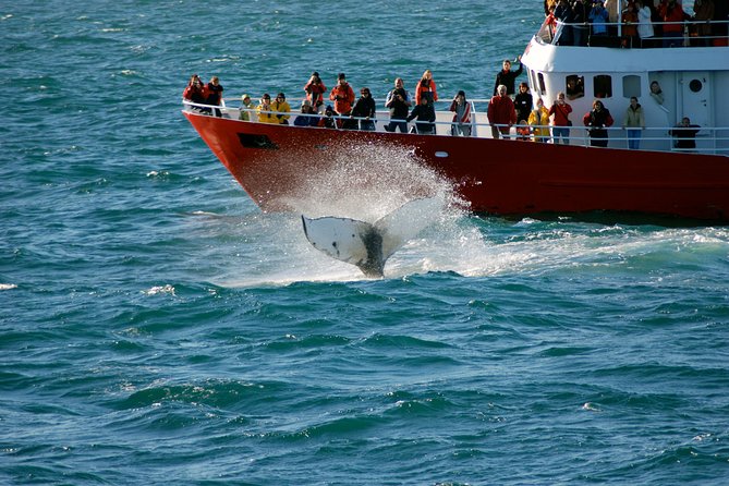 Golden Circle and Whale Watching in Reykjavik - Directions