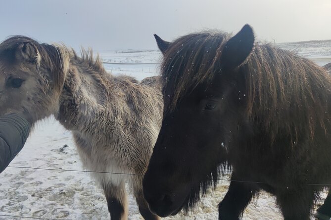 Golden Circle, Cook Eggs in a Hot Spring, Shore Excursion - Visiting the Majestic Gullfoss Waterfall