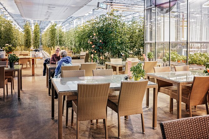 Golden Circle Day Tour in Mini Bus From Reykjavik With Fridheimar Tomato Farm - Attractions and Delicious Lunch Experience