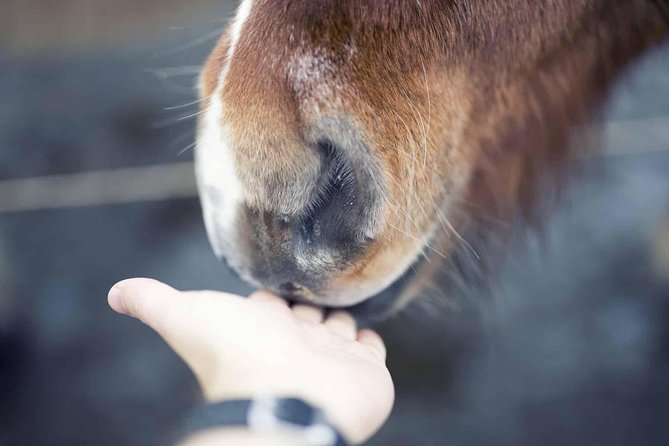 Golden Circle & Kerið Day Tour by Minibus From Reykjavik - Tour Highlights