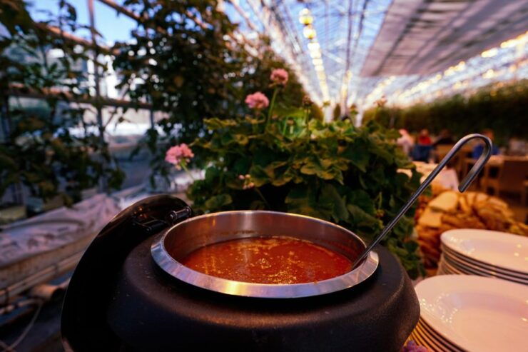 Golden Circle & Lunch at Fridheimar Tomato Farm- With Photos - Activity Details