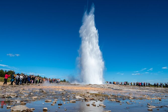 Golden Circle & Northern Lights Tour From Reykjavik - Contact and Terms & Conditions