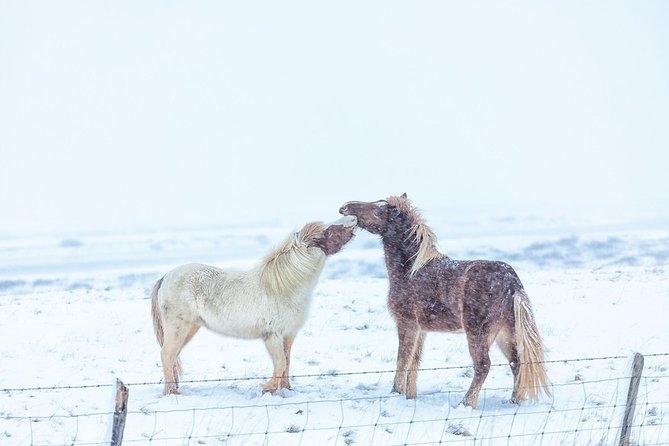 Golden Circle Photo Infused Tour - Tour Inclusions