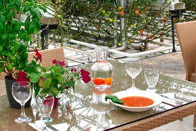 Golden Circle Platinum Secret Lagoon and Friðheimar Tomato Greenhouse Lunch - Positive Reviews and Highlighted Stops/Activities