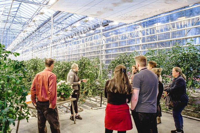 Golden Circle Platinum Secret Lagoon and Friðheimar Tomato Greenhouse Lunch - Positive Feedback on Guides