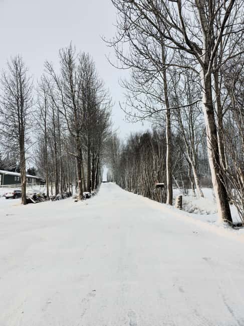 Golden Circle Private Tour with Lava Tunnel(Optional) - FAQ