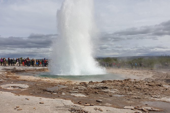 Golden Circle - Puffin Travel Private Tour - Customer Testimonials