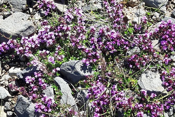 Golden Circle - Puffin Travel Private Tour - Directions