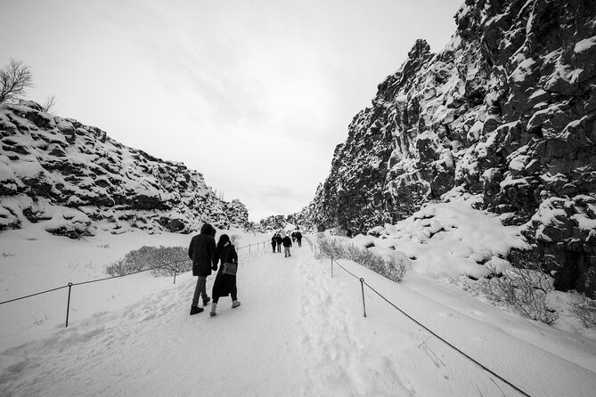 Golden Circle Secret Lagoon and Northern Lights Combo Tour - Tour Pricing and Booking Details