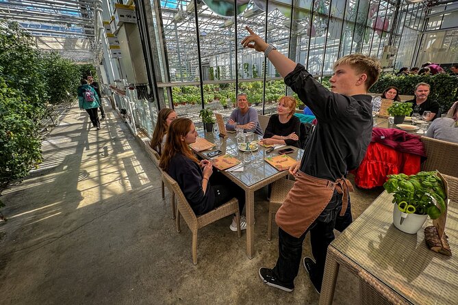 Golden Circle, Silfra Snorkeling & Fridheimar Tomato Farm Lunch - Tour Inclusions