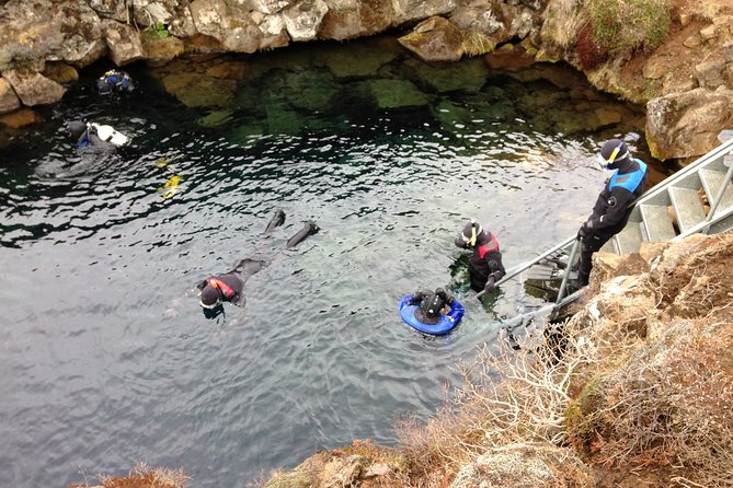 Golden Circle Tour: Gullfoss Falls, Thingvellir, Black Beach  - Reykjavik - Reviews