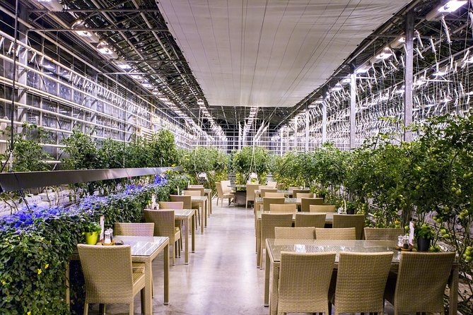 Golden Circle With Blue Lagoon Private Tour From Reykjavik - Reviews