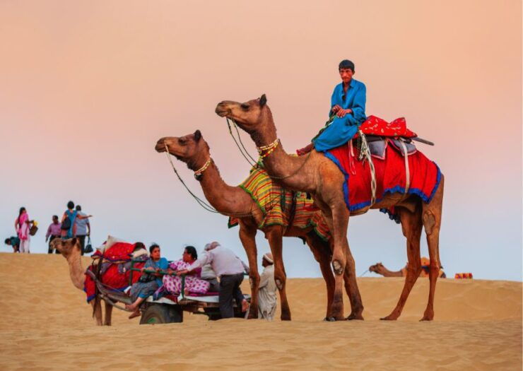 Golden City Photography Guided Tour to Capture City Hues - Tour Overview