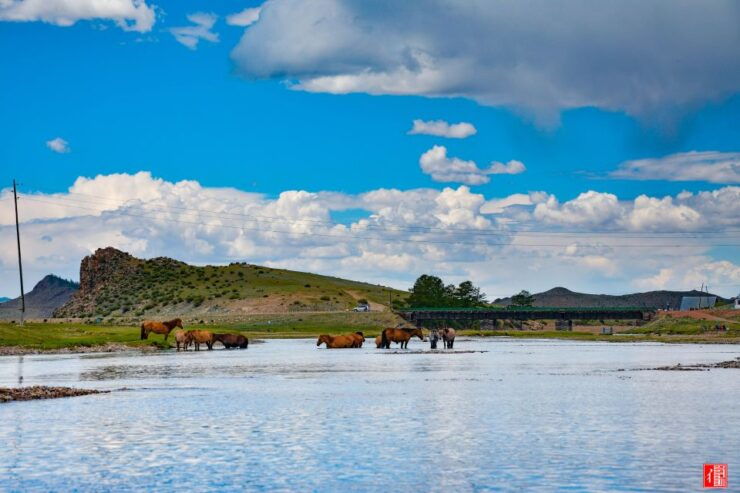 Golden Eagle Festival and Greate Gobi Desert Tour - Tour Highlights
