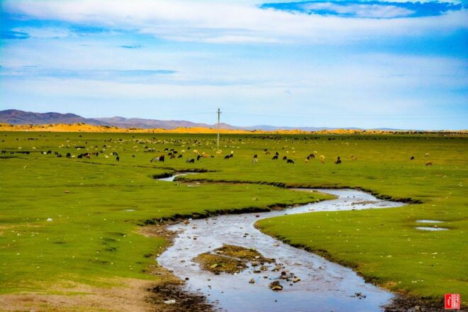 Golden Eagle Festival and Greate Gobi Desert Tour - Accommodation Details