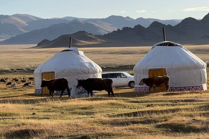 Golden Eagle Festival Trip - Authentic Experiences That Make This Tour Stand Out