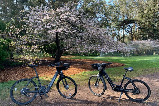 Golden Gate Park Electric Bike Rentals - Pricing and Booking Details