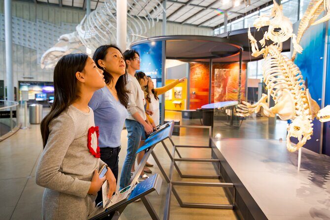 Golden Gate Park Tour With California Academy of Sciences Ticket - FAQs