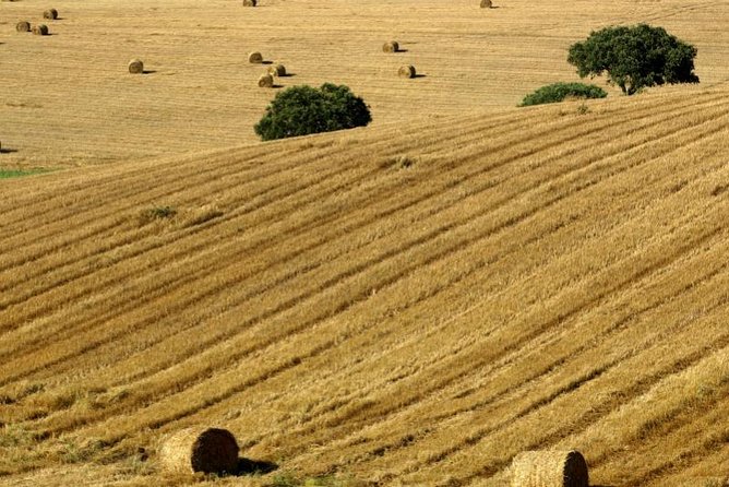 Golden Plains: Évora and Almendres Cromlech Shared Tour - Evora: Unesco-Listed Roman Town