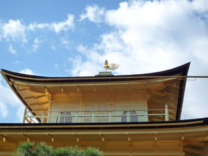 Golden Reflections: Morning at Kinkaku-ji & Zen Gardens - Who Will Love This Tour?