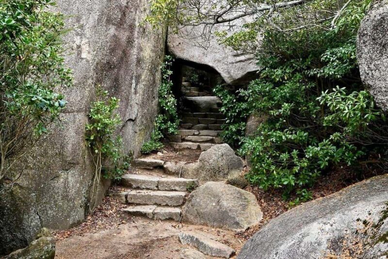 Golden Route to West Japan: 7-Day Cultural & Nature Tour - Good To Know