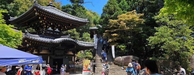 Golden Route to West Japan: 7-Day Cultural & Nature Tour - Who Should Consider This Tour