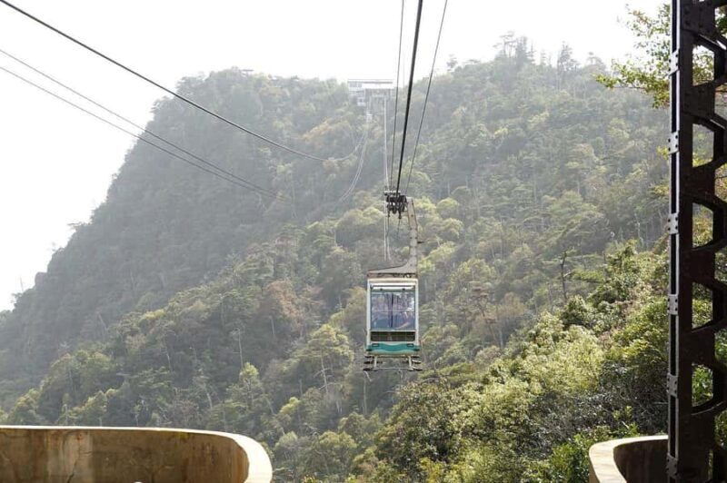 Golden Route to West Japan: 7-Day Cultural & Nature Tour - Discovering Western Japan in Style