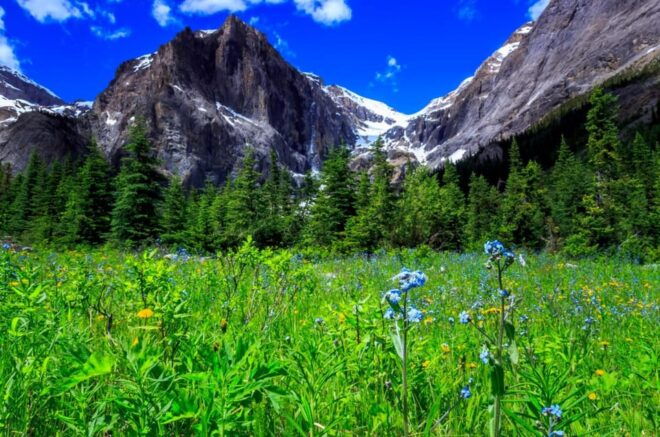 Golden Sky Bridge & Yoho National Park Private Day Tour - Pickup and Drop-off Locations