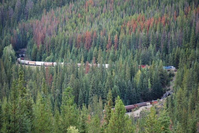 Golden Sky Bridge & Yoho National Park Private Day Tour - Lunch in Golden