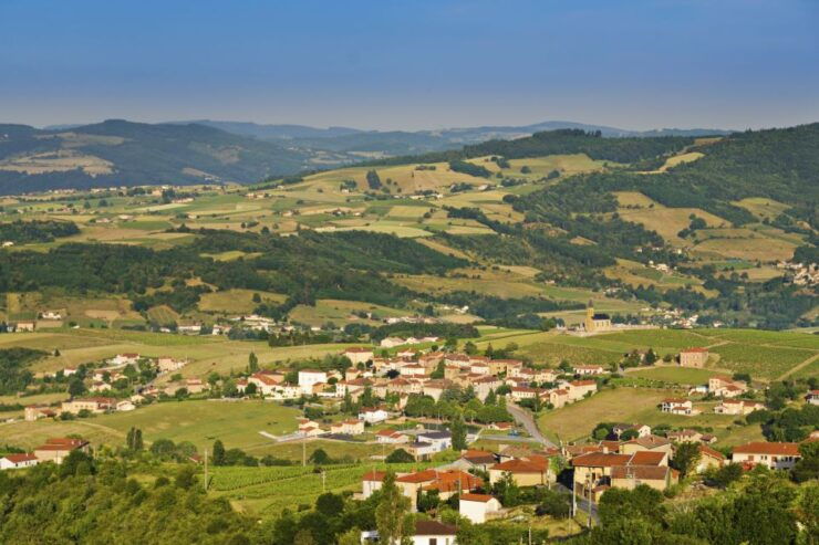 Golden Stones Beaujolais Wine Tasting Trip From Lyon - Activity Details