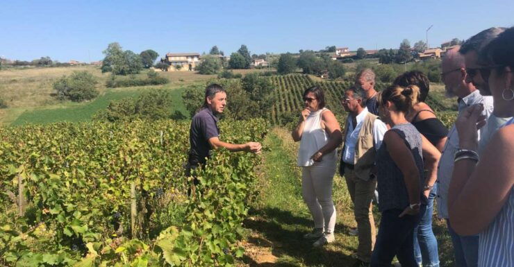 Golden Stones Beaujolais Wine Tasting Trip From Lyon - Experience Highlights