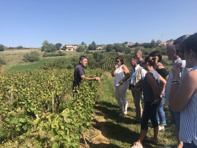 Golden Stones Beaujolais Wine Tasting Trip From Lyon - Review Summary