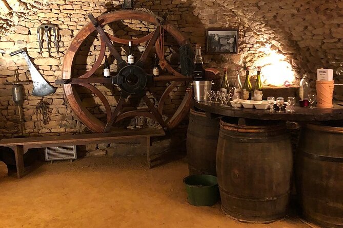 Golden Stones Beaujolais Wine Tour With Tastings From Lyon - Common Questions