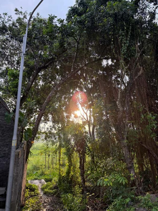 Golden Time Adventure: Sunrise Experience in Yogyakarta - Good To Know